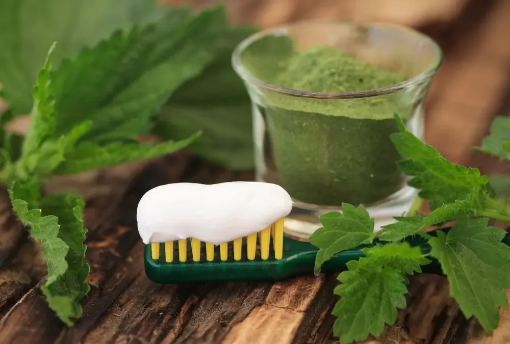 Natural & Herbal Toothpaste vs Conventional Toothpaste – Is It All the Same? And What Should You Be Using?